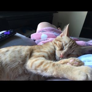 Meet your Posher, Jill